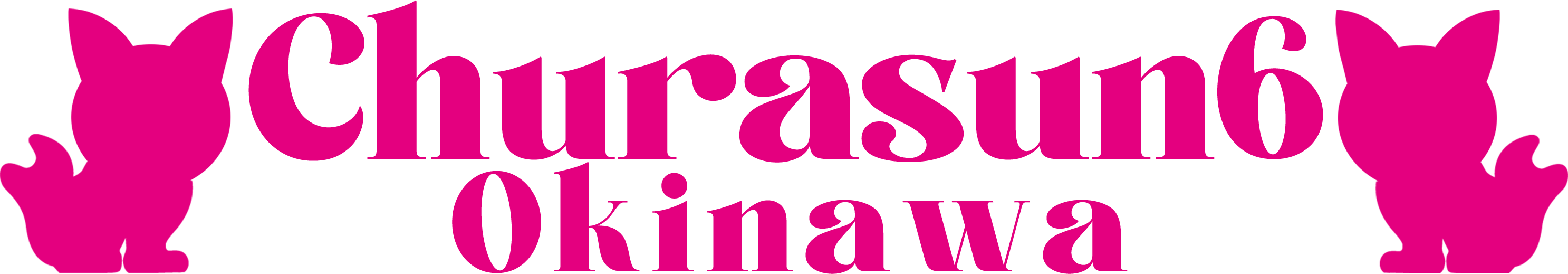 ちゅらさん6 LOGO